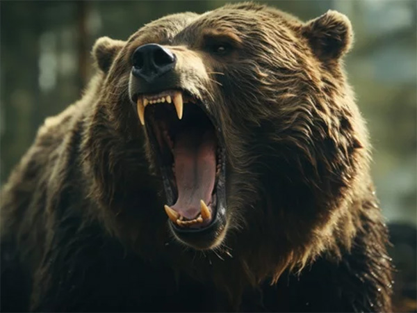 クマの襲撃（二度目）と迎撃